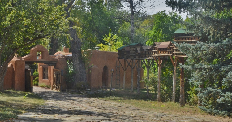 in the courtyard